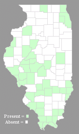 Distribution Map