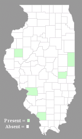 Distribution Map
