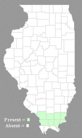 Distribution Map