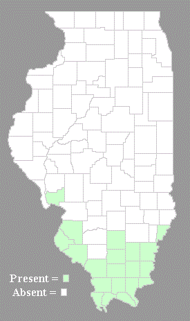 Distribution Map