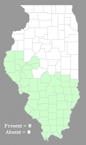 Distribution Map
