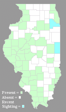 Distribution Map