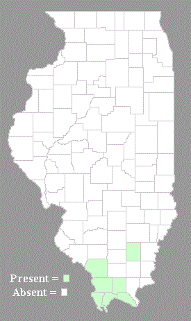 Distribution Map