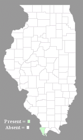 Distribution Map