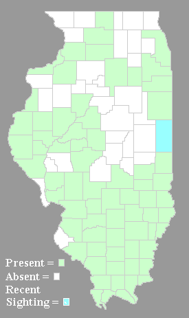 Distribution Map